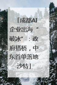 成都AI企业出海“破冰”：政府搭桥，中东首单落地沙特