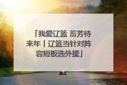 我爱辽篮 蓄芳待来年丨辽篮当针对阵容短板选外援