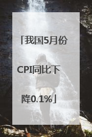 我国5月份CPI同比下降0.1%