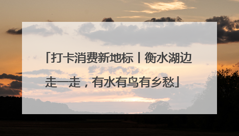 打卡消费新地标丨衡水湖边走一走，有水有鸟有乡愁