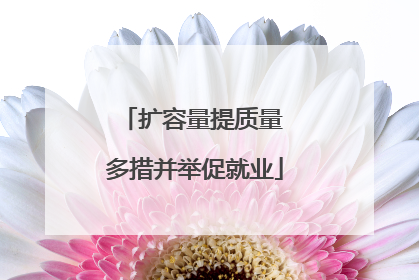 扩容量提质量 多措并举促就业