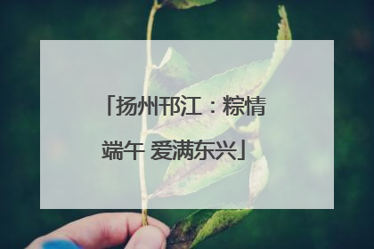 扬州邗江：粽情端午 爱满东兴