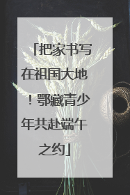 把家书写在祖国大地！鄂藏青少年共赴端午之约