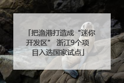 把渔港打造成“迷你开发区” 浙江9个项目入选国家试点