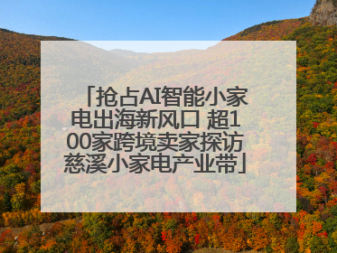 抢占AI智能小家电出海新风口 超100家跨境卖家探访慈溪小家电产业带
