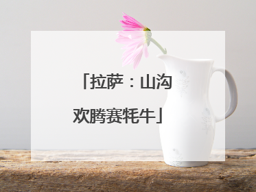 拉萨：山沟欢腾赛牦牛