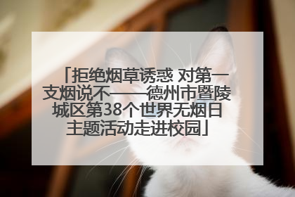 拒绝烟草诱惑 对第一支烟说不——德州市暨陵城区第38个世界无烟日主题活动走进校园