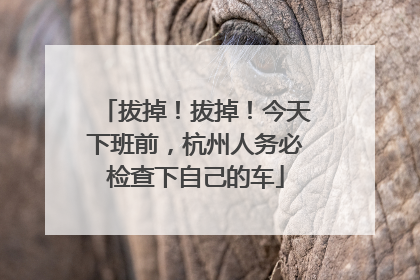 拔掉！拔掉！今天下班前，杭州人务必检查下自己的车