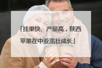 挂果快、产量高，陕西苹果在中亚茁壮成长