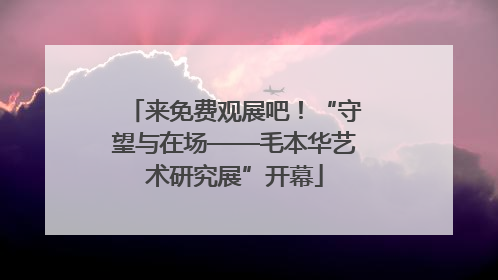 来免费观展吧！“守望与在场——毛本华艺术研究展”开幕