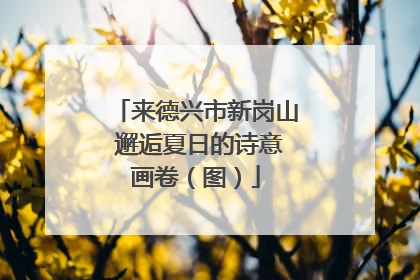 来德兴市新岗山 邂逅夏日的诗意画卷（图）