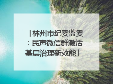 林州市纪委监委：民声微信群激活基层治理新效能