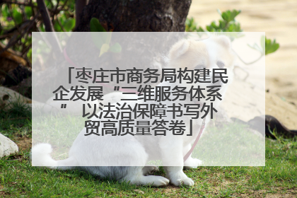 枣庄市商务局构建民企发展“三维服务体系” 以法治保障书写外贸高质量答卷