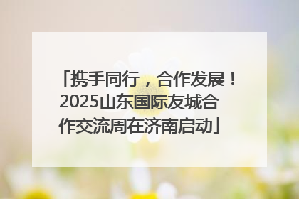 携手同行，合作发展！2025山东国际友城合作交流周在济南启动