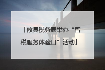 攸县税务局举办“智税服务体验日”活动