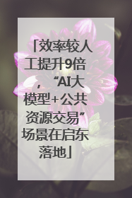 效率较人工提升9倍，“AI大模型+公共资源交易”场景在启东落地