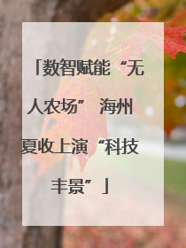 数智赋能“无人农场” 海州夏收上演“科技丰景”