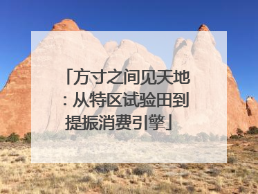 方寸之间见天地：从特区试验田到提振消费引擎