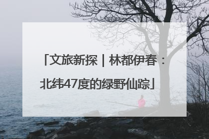 文旅新探｜林都伊春：北纬47度的绿野仙踪