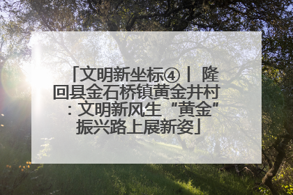 文明新坐标④丨 隆回县金石桥镇黄金井村：文明新风生“黄金” 振兴路上展新姿