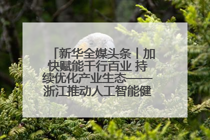 新华全媒头条丨加快赋能千行百业 持续优化产业生态——浙江推动人工智能健康有序发展观察
