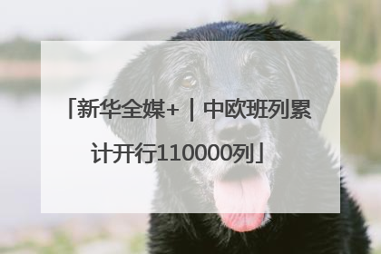 新华全媒+｜中欧班列累计开行110000列
