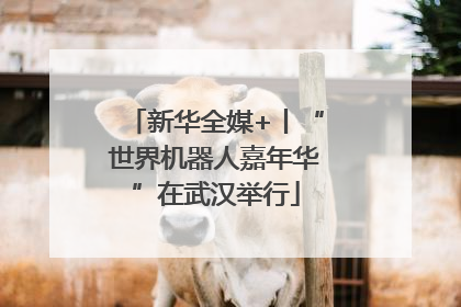 新华全媒+丨“世界机器人嘉年华”在武汉举行