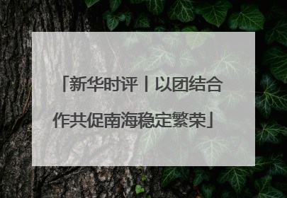 新华时评丨以团结合作共促南海稳定繁荣