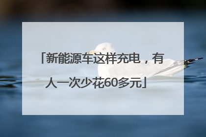 新能源车这样充电，有人一次少花60多元