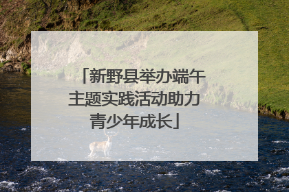 新野县举办端午主题实践活动助力青少年成长