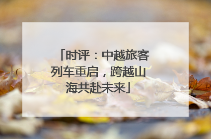 时评：中越旅客列车重启，跨越山海共赴未来