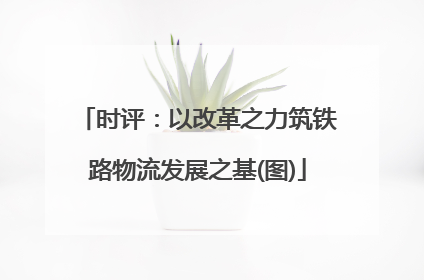 时评：以改革之力筑铁路物流发展之基(图)
