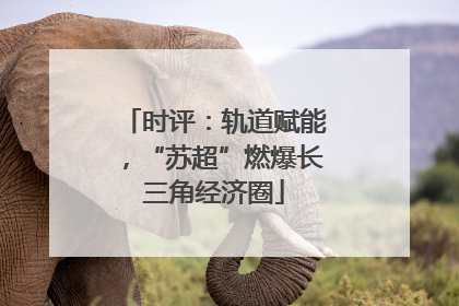 时评：轨道赋能，“苏超”燃爆长三角经济圈