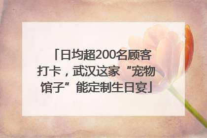 日均超200名顾客打卡，武汉这家“宠物馆子”能定制生日宴