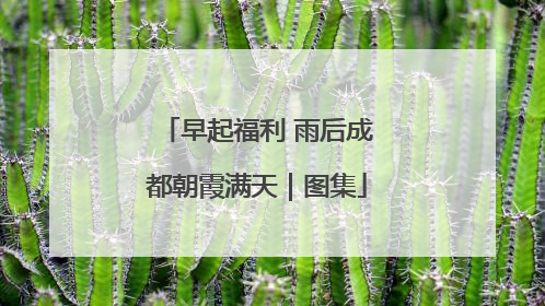 早起福利 雨后成都朝霞满天｜图集