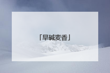 旱碱麦香
