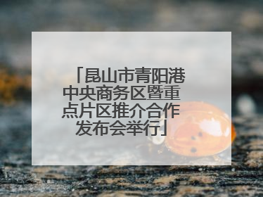 昆山市青阳港中央商务区暨重点片区推介合作发布会举行