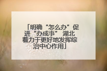 明确“怎么办”促进“办成事” 湖北着力于更好地发挥综治中心作用