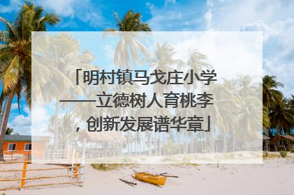 明村镇马戈庄小学——立德树人育桃李，创新发展谱华章