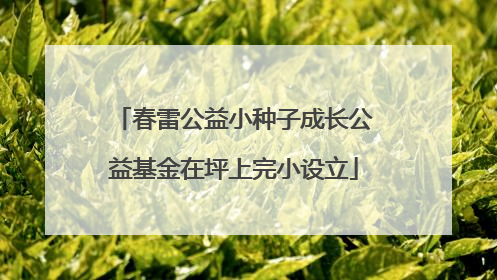 春雷公益小种子成长公益基金在坪上完小设立