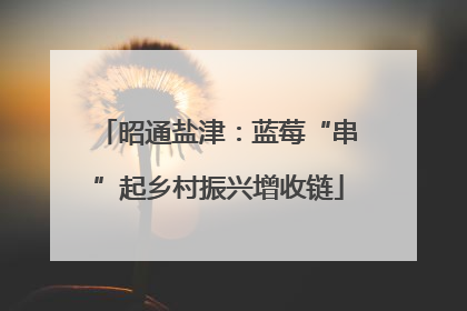 昭通盐津：蓝莓“串”起乡村振兴增收链