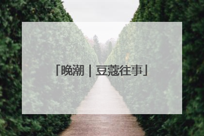 晚潮｜豆蔻往事