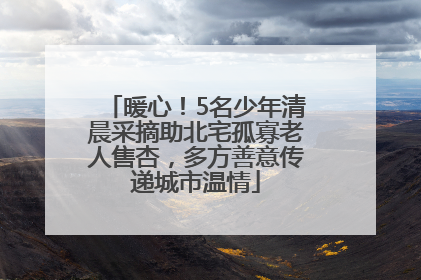 暖心！5名少年清晨采摘助北宅孤寡老人售杏，多方善意传递城市温情