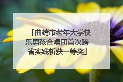 曲靖市老年大学快乐男孩合唱团首次跨省实践斩获一等奖
