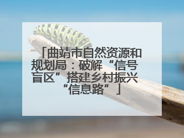 曲靖市自然资源和规划局：破解“信号盲区”搭建乡村振兴“信息路”