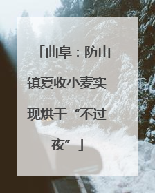 曲阜：防山镇夏收小麦实现烘干“不过夜”