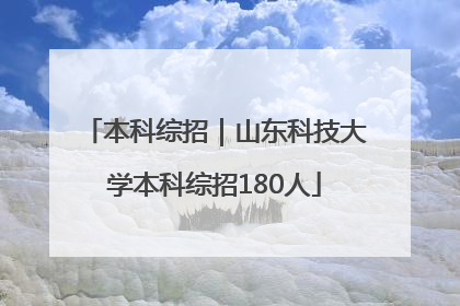 本科综招｜山东科技大学本科综招180人