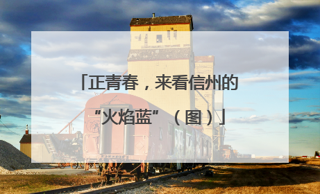 正青春，来看信州的“火焰蓝”（图）