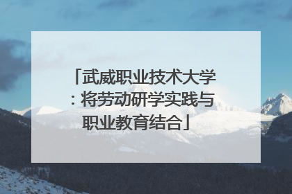 武威职业技术大学：将劳动研学实践与职业教育结合