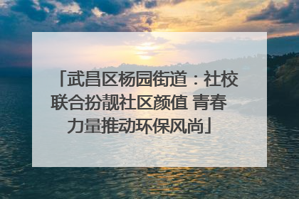 武昌区杨园街道：社校联合扮靓社区颜值 青春力量推动环保风尚